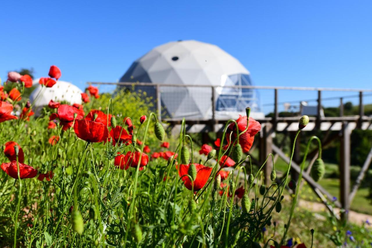 Reserva Alecrim Ecosuite & Glamping Santiago do Cacem Bagian luar foto